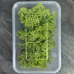 Мох ягель стабілізований Преміум