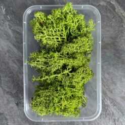 Мох ягель стабілізований Преміум