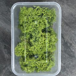 Мох ягель стабілізований Преміум