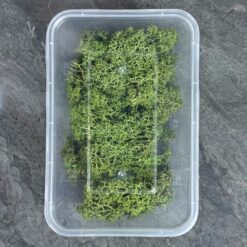 Мох ягель стабілізований Преміум