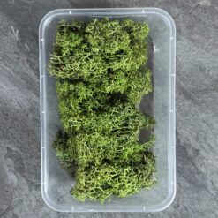 Мох ягель стабілізований Преміум