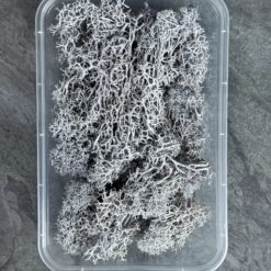 Мох ягель стабілізований преміум