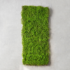 панель искусственная зелень Мох 40х90 см 9226-002, модуль из искусственного мха, напольное покрытие из травы, стена с зеленью для фотозоны, искусственный мох для декора, декоративная стена из зелени, имитация природной травы, зелёная панель для интерьера, искусственная зелень для стен, интерьерное озеленение искусственная трава, модульное покрытие мох, панель штучна зелень Мох 40х90 см 9226-002, модуль зі штучного моху, покриття з трави для підлоги, стіна із зеленню для фотозони, штучний мох для декору, декоративна стіна із зелені, імітація природної трави, зелена панель для інтер’єру, штучна зелень для стін, інтер’єрне озеленення штучна трава, модульне покриття мох, зелена стіна, зеленая стена