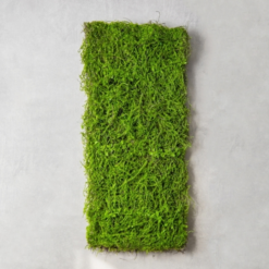 панель искусственная зелень Мох 40х90 см 9226-002, модуль из искусственного мха, напольное покрытие из травы, стена с зеленью для фотозоны, искусственный мох для декора, декоративная стена из зелени, имитация природной травы, зелёная панель для интерьера, искусственная зелень для стен, интерьерное озеленение искусственная трава, модульное покрытие мох, панель штучна зелень Мох 40х90 см 9226-002, модуль зі штучного моху, покриття з трави для підлоги, стіна із зеленню для фотозони, штучний мох для декору, декоративна стіна із зелені, імітація природної трави, зелена панель для інтер’єру, штучна зелень для стін, інтер’єрне озеленення штучна трава, модульне покриття мох, зелена стіна, зеленая стена