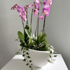Квіткова композиція з орхідеями Симфонія