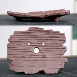 Бонсайниця у вигляді дерев'яної кори