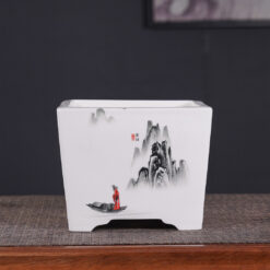 Біла прямокутна бонсайниця з розписом