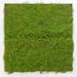 Декоративна панель зі штучного моху