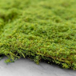Декоративна панель зі штучного моху