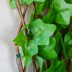 Панель з лози Плющ