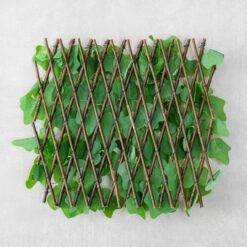 Панель з лози Плющ