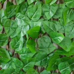 Панель з лози Фікус