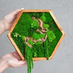 Панно зі стабілізованого моху