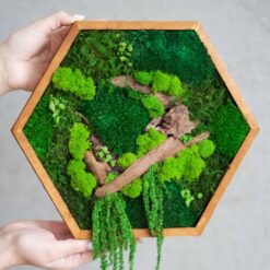 Панно зі стабілізованого моху