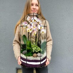 Флораріум з орхідеєю в куполі