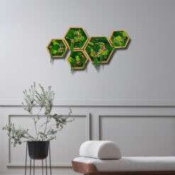 Панно зі стабілізованого моху