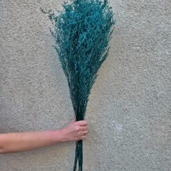 Стабілізований Лимоніум бірюзовий