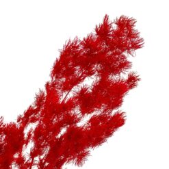 Роголисник червоний стабілізований