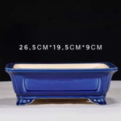 Велика Бонсайниця керамічна Синя тиша