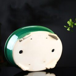 Бонсайниця керамічна Імператорський Зелений