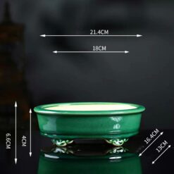 Бонсайниця керамічна Імператорський Зелений