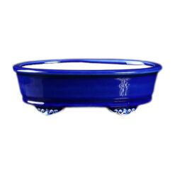Бонсайниця керамічна Імператорський Синій