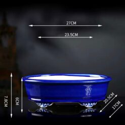 Велика Бонсайниця Імператорський Синій