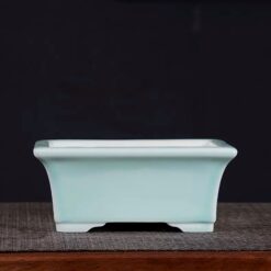 Горщик для Бонсай бірюзовий