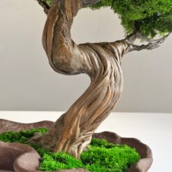 Бонсай зі стабілізованих рослин