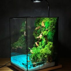 Флораріум зі стабілізованих рослин