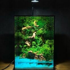 Флораріум зі стабілізованих рослин