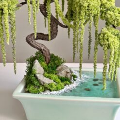 Дерево Бонсай зі стабілізованих рослин