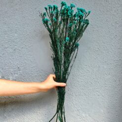 Сухоцвіт Озатамнус бірюзовий