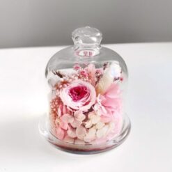 міні-флораріум Лимонниця рожева