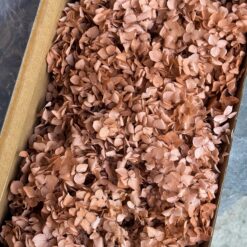 Теракотова гортензія стабілізована на вагу