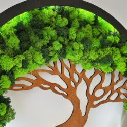 пано зі стабілізованого моху з підсвіткою