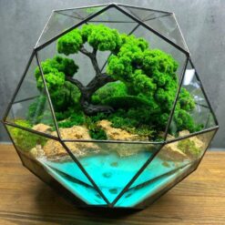 мосаріум зі стабілізованими рослинами