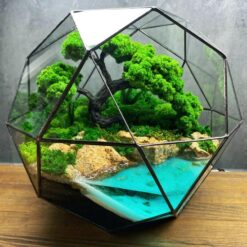 мосаріум зі стабілізованими рослинами