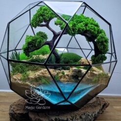 мосаріум з мохом