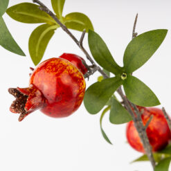 гілка гранату штучна