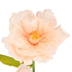 дизайнерські ростові квіти для фасаду