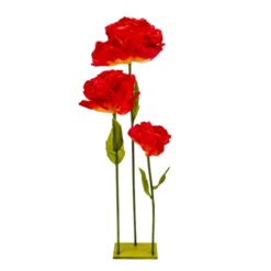 декоративні ростові квіти для бізнесу