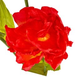 великі квіти для оформлення фасаду будинку