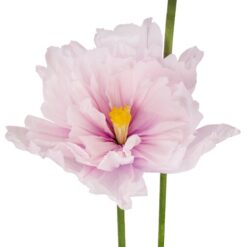 ростові квіти для оформлення входу